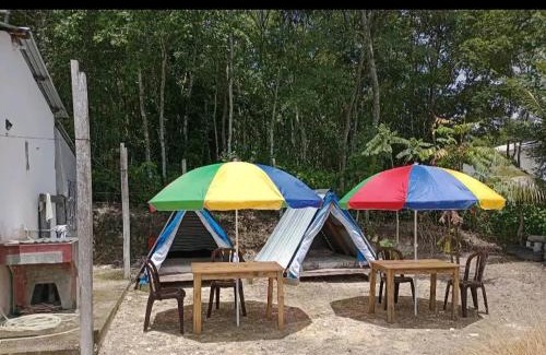 Peten Other | Tikal glampimg la mansión del danto
