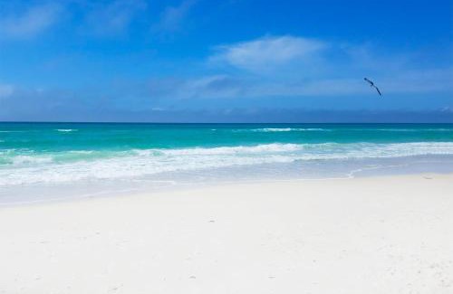 Bid-a-wee Beach House | Tiki Palms Paradise by Emerald Coast Retreats
