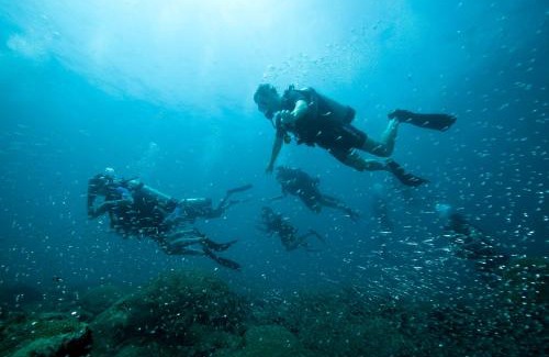 Havelock Island Resort | Tilar Siro Andamans - A CGH Earth Experience