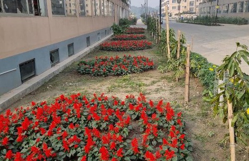 Mirpur House | Tilottama (তিলোত্তমা)