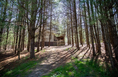 Old Washington Cottage | Timberline Cabins - Wildwood Cottage - Hot tub, Pets, Fireplace