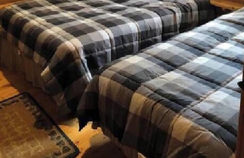 Ely Apartment | Timberwolf .