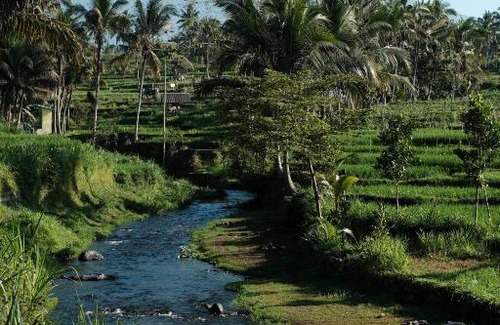 Kecamatan Pringgasela Other | Timbooland Camp Site