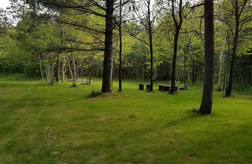 Vilas County House | Time to relax and unwind…Cozy house in the woods minutes from downtown Minocqua