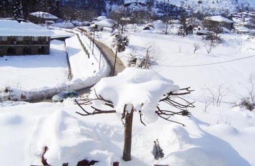 Tsepelovo House | Timfea Chalet