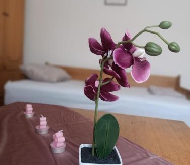Slavonski Brod Apartment | Tin