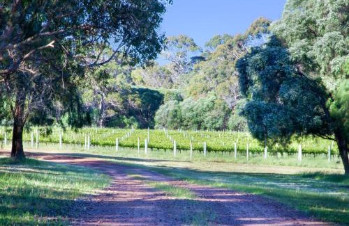 Forest Grove House | Tintagel Estate I Private Properties