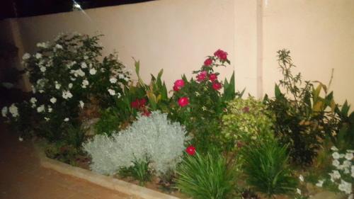 Francistown House | TINTECH BED & BREAKFAST