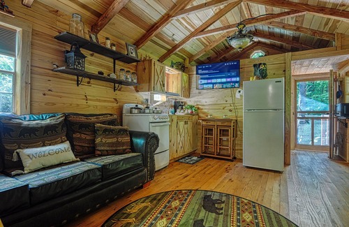 Cosby Cabin | Tiny Cabin-HOT TUB, private, quiet side of the Smokies