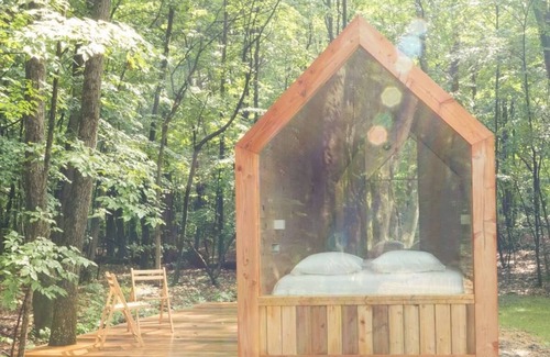 Catskill Cabin | Tiny Cabin in the Woods