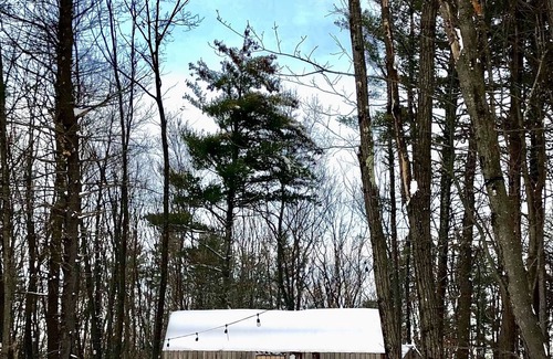 Catskill Cabin | Tiny Cabin in the Woods