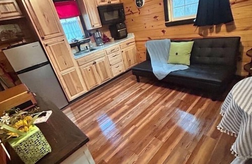 Granbury Cabin | Tiny Cottage with Pickleball and Pet Friendly