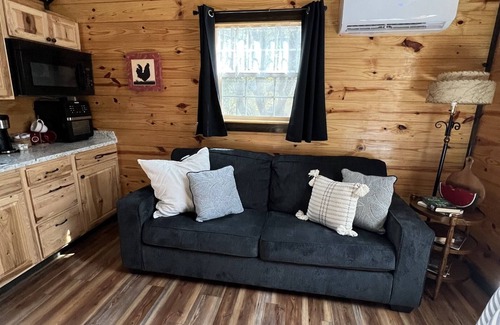 Granbury Cabin | Tiny Cottage with Pickleball and Pet Friendly