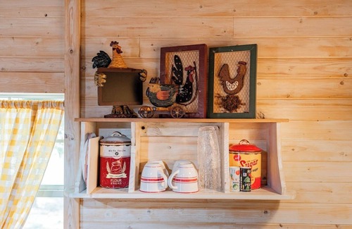 Granbury Cabin | Tiny Farmhouse Pickleball Court and Pet Friendly!