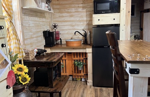 Granbury Cabin | Tiny Farmhouse Pickleball Court and Pet Friendly!