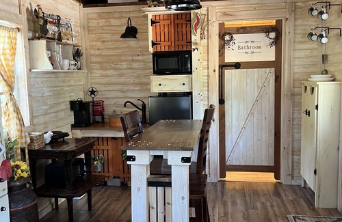 Granbury Cabin | Tiny Farmhouse Pickleball Court and Pet Friendly!