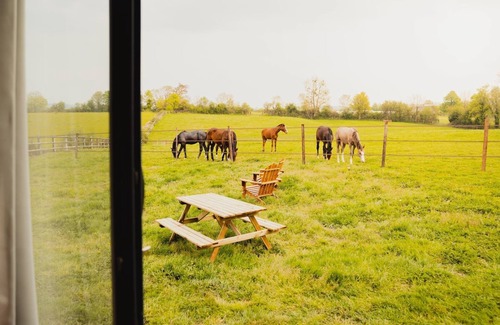Saint-Etienne-la-Thillaye Cabin | Tiny House near Deauville