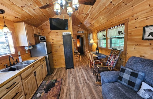 Bryson City Cabin | Tiny Hideaway Cabin mins. from Downtown Bryson City and Deep Creek National Park