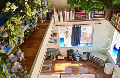 Pauma Valley House | "Tiny Home Living on Exotic Family Fruit Farm"