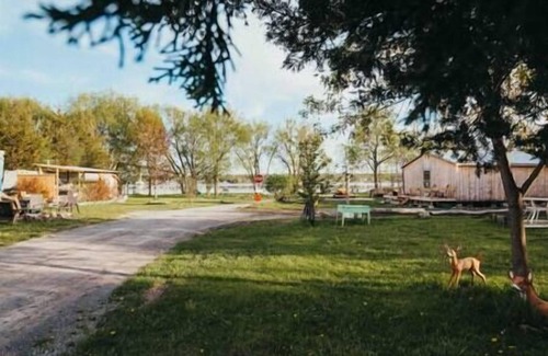 Tyendinaga Mohawk Territory House | Tiny Home Near Wine Country with Stargazing Loft