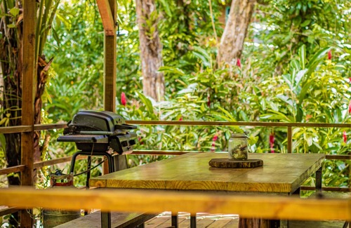 Bocas del Toro Cabin | Tiny home nestled in the jungle near surf, snorkel, and wildlife in Bocas.