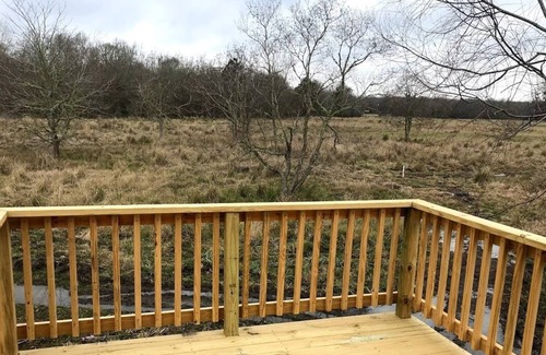Cleveland Cabin | Tiny Home with lake, trails, and more