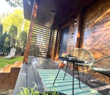 Valiug House | Tiny House 4 Two