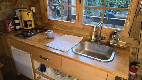 Bad Nieuweschans Ski Chalet | Tiny House Bad Nieuweschans