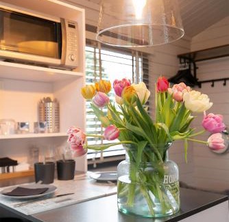 Municipality of Heemstede Bed & Breakfast | Tiny House Boatshed