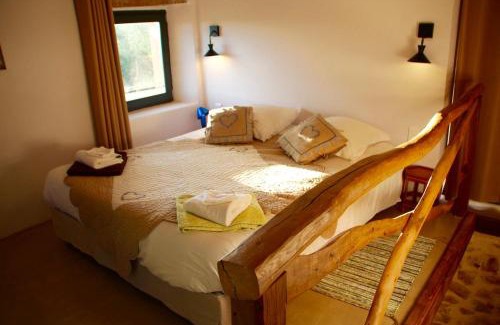 Saint-Remy House | Tiny house de charme - Piscine & Jaccuzi