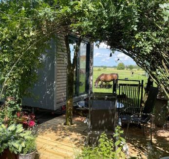 Jaderaltendeich Apartment | Tiny House nah am Nationalpark