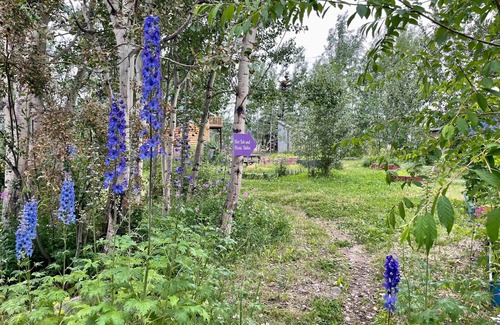 Whitehorse Cabin | Tiny House on Urban Farm-Glamping