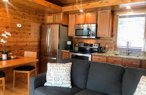 Black River Falls Cottage | Tiny House on the River
