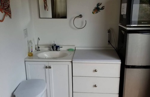 Dunmore Town House | Tiny House Vacation, Bayfront with private beach area! On two secluded acres!
