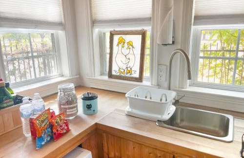 Midtown Apartment | Tiny House w/Backyard Chickens & Tesla for Rent*