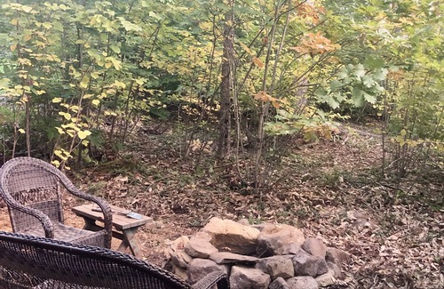 Windsor Cabin | Tiny House with private hot tub on 100 acres