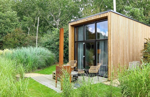 Velsen-Zuid House | Tiny House with sleeping loft with double bed