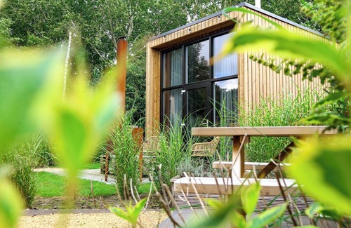 Velsen-Zuid House | Tiny House with sleeping loft with double bed