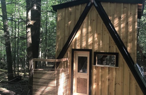 Tay Valley Cabin | Tiny off-grid A-frame cabin nestled in nature!