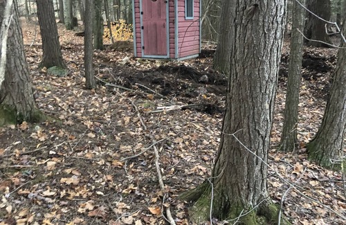 Tay Valley Cabin | Tiny off-grid A-frame cabin nestled in nature!