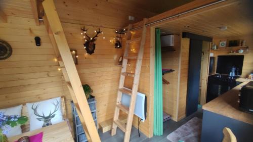 Wasigny House | Tiny somniflore