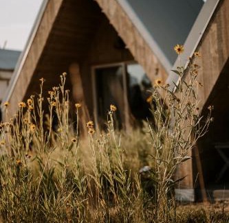 Emigrant Other | Tiny Town Campground