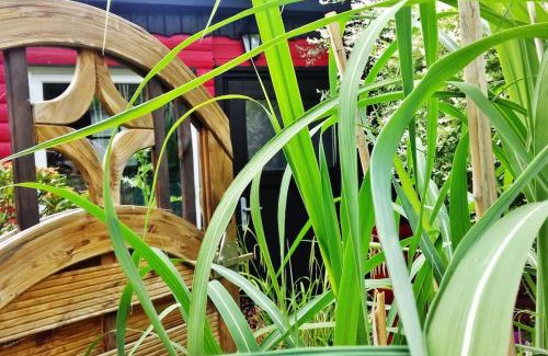 Billerbeck House | Tiny Waldheim