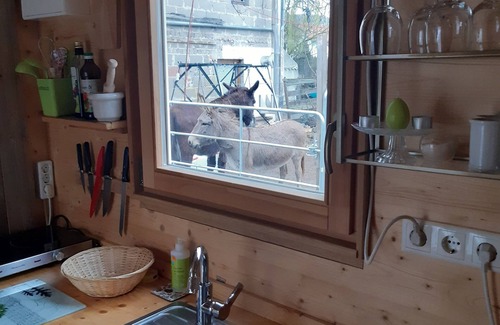 Grantschen House | Tinyhouse in the wine village Weinsberg -Grantschen