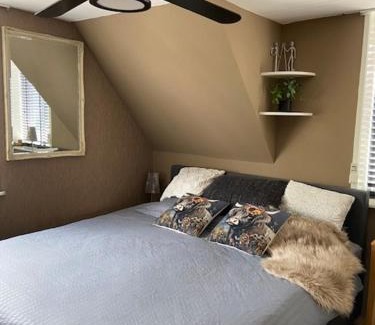 Zaandam House | Tinyhouse Woody at the Water