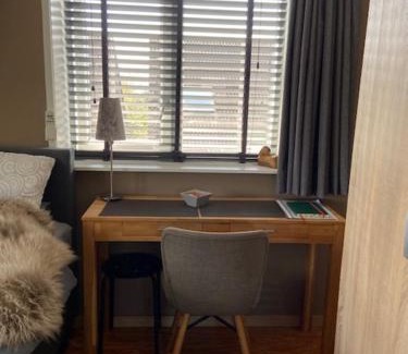 Zaandam House | Tinyhouse Woody at the Water