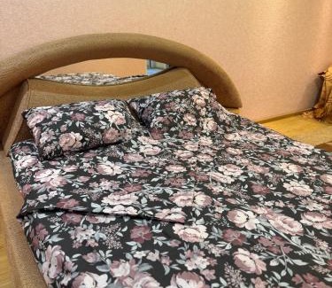 Tiraspol Apartment | Tiraspol Apartments 1 room