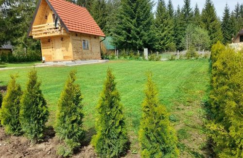Beserovina House | Tisina Tare