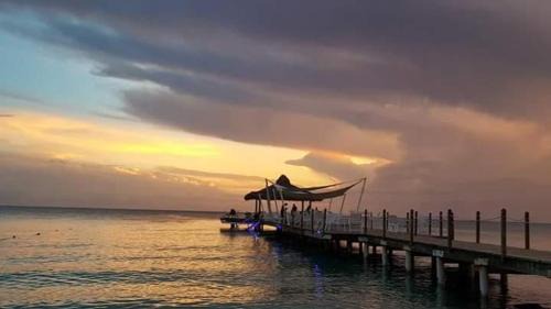 Dominicus Apartment | Titty's Paradise