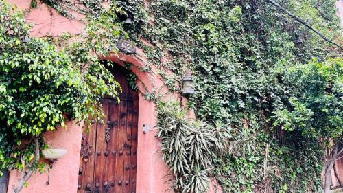 Coyoacan Apartment | Tizapan 03 NEW 1BE&1BA
